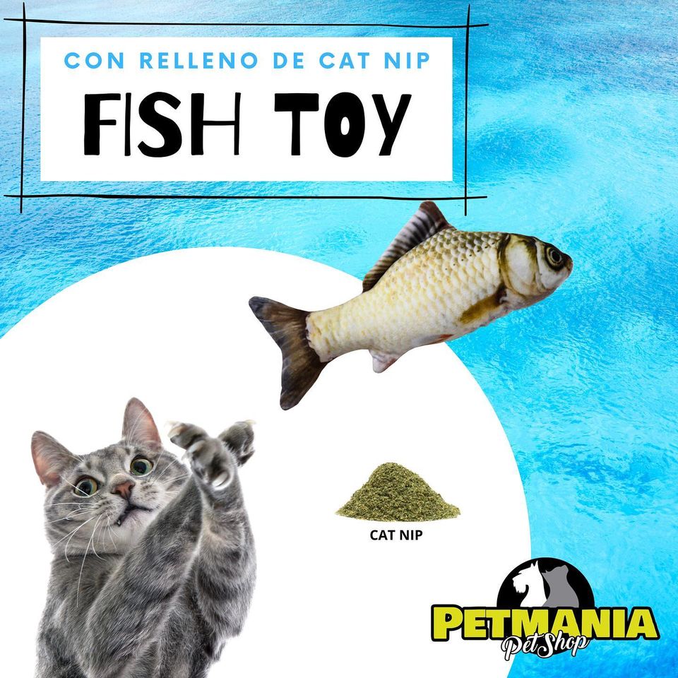 FISH TOY